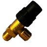Vanne d'arrêt 6120N/44 1/2NPT-1/2FL