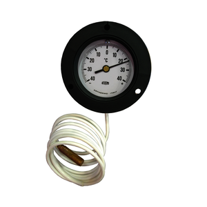 Thermometre encastrable F87R60