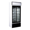 Vitrine Vert Pos 695l 2P PKSS1200D2KLM